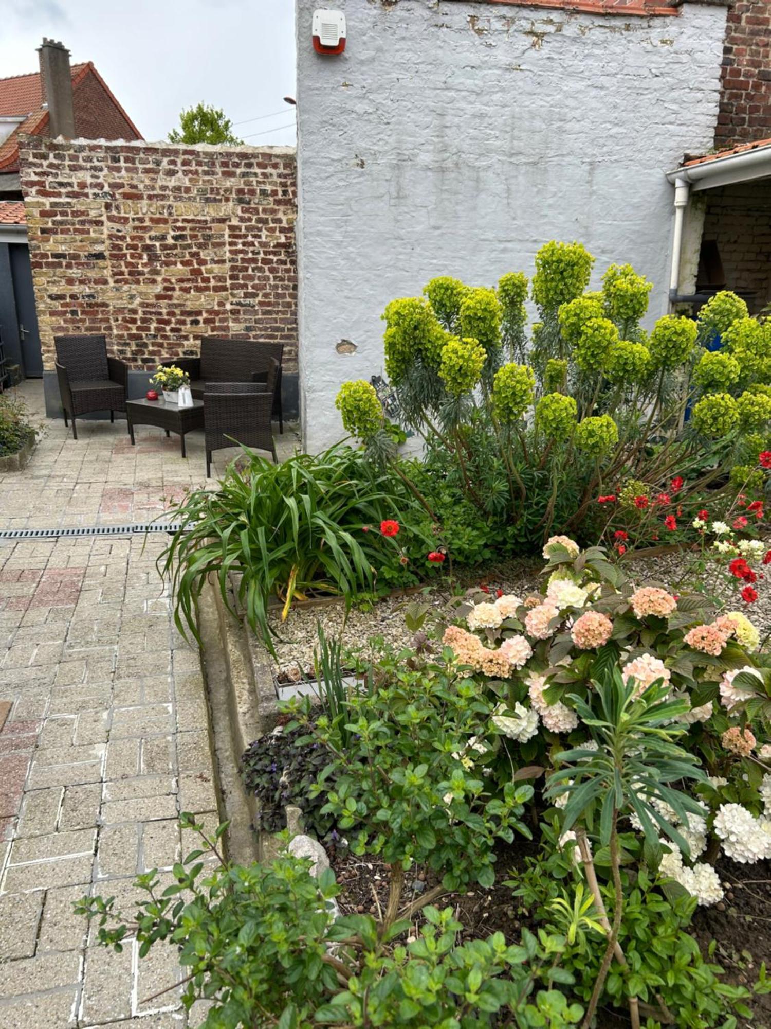 Appartement Avec Jardin 3 Couchages Proche Port Des Fontinettes アルク エクステリア 写真
