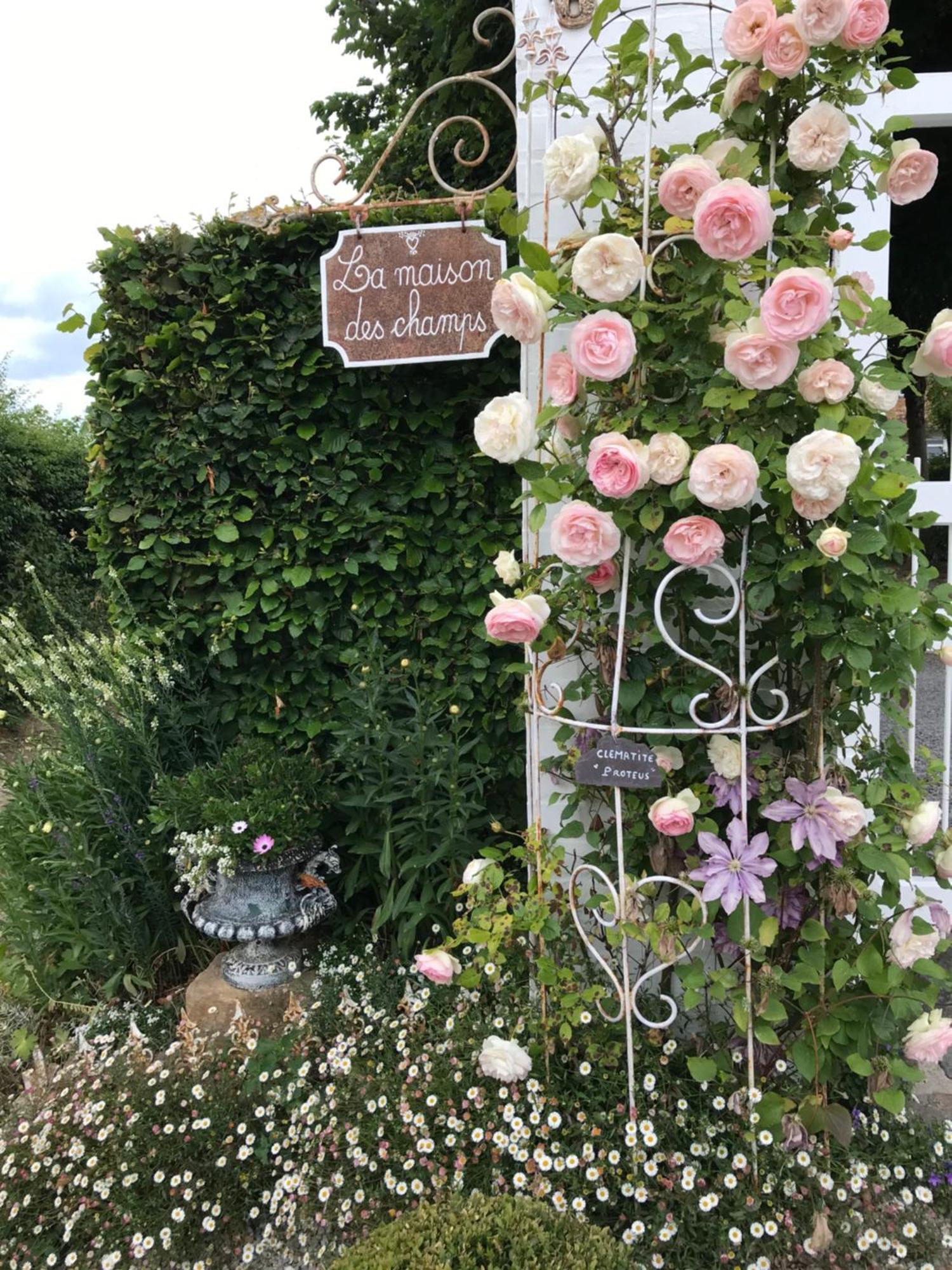 Appartement Avec Jardin 3 Couchages Proche Port Des Fontinettes アルク エクステリア 写真